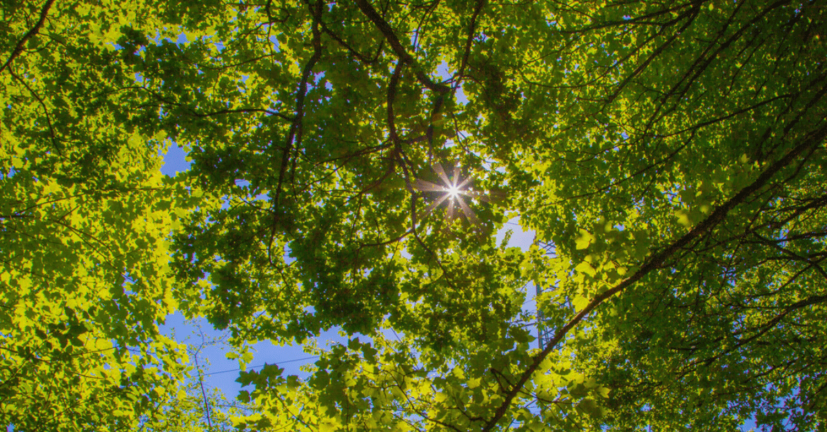 Environmental Product Declaration: The key to the green building industry